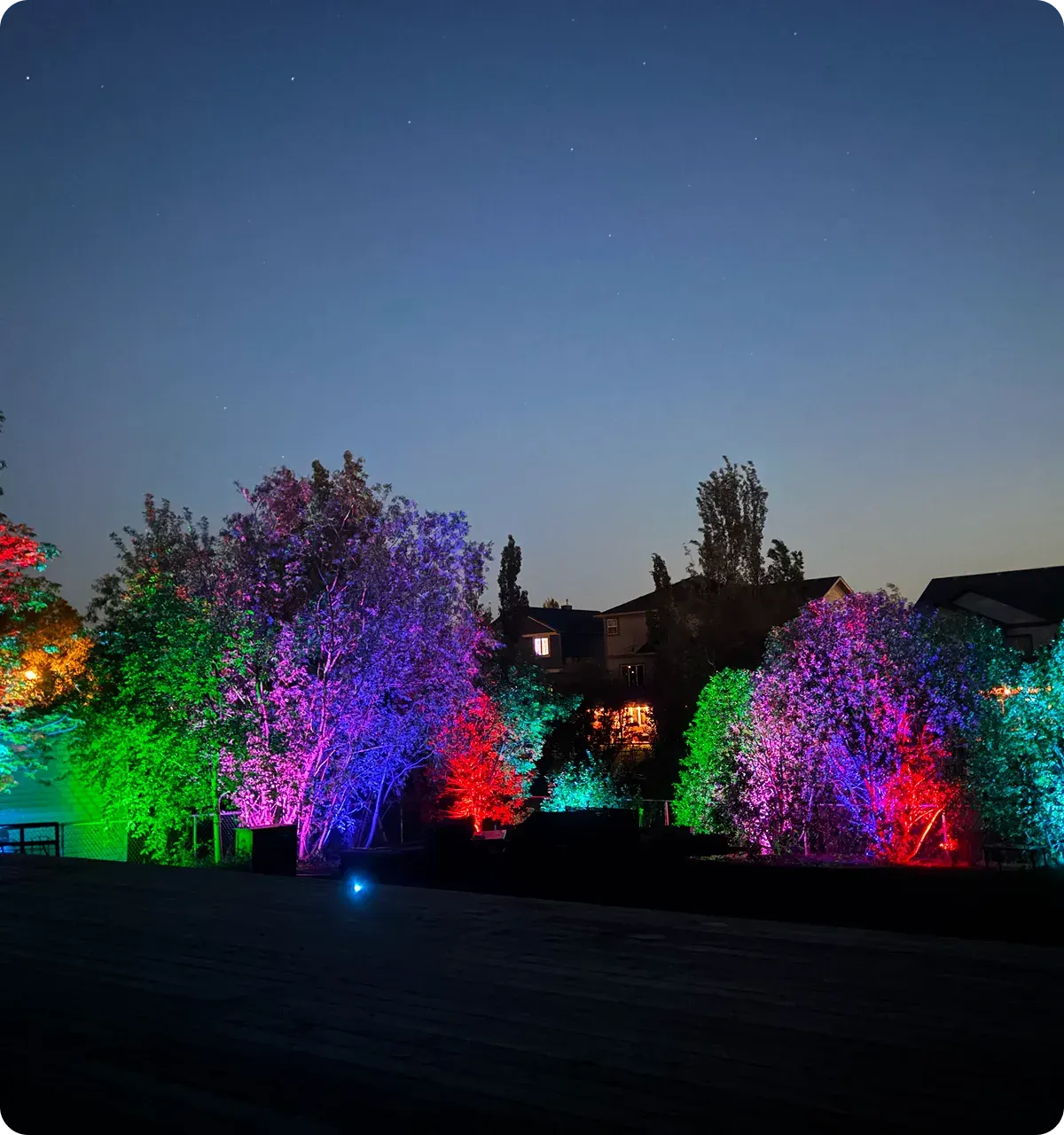 Landscape Lighting detail